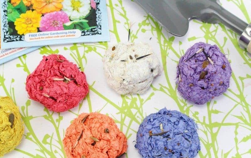 Earth Day at the Library: A Full Day of Fun & Community Impact